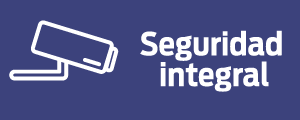 Seguridad integral